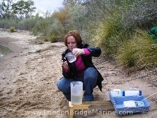 Water clarity survey